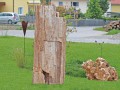 032_Versteinertes Holz